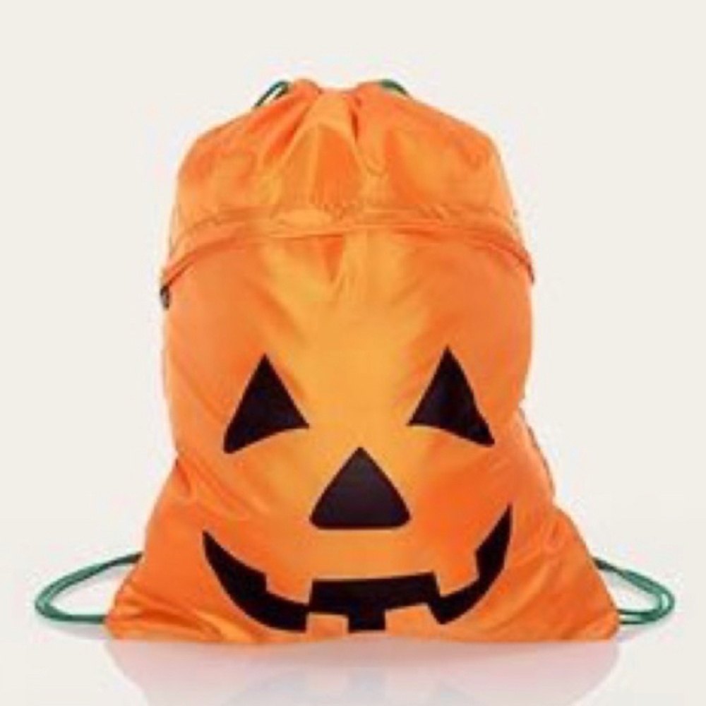 NEW Thirty One pumpkin cinch sac